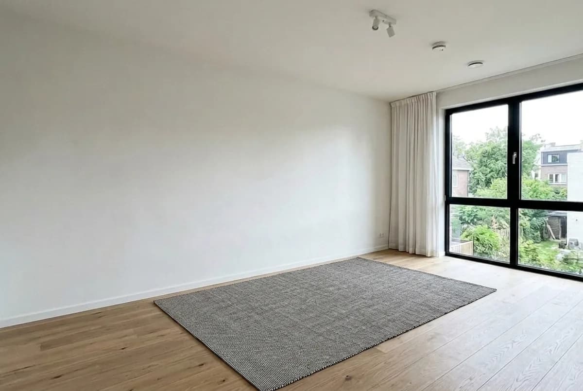 TIPHEDE Rug — Gemini 3.1 Flash Image